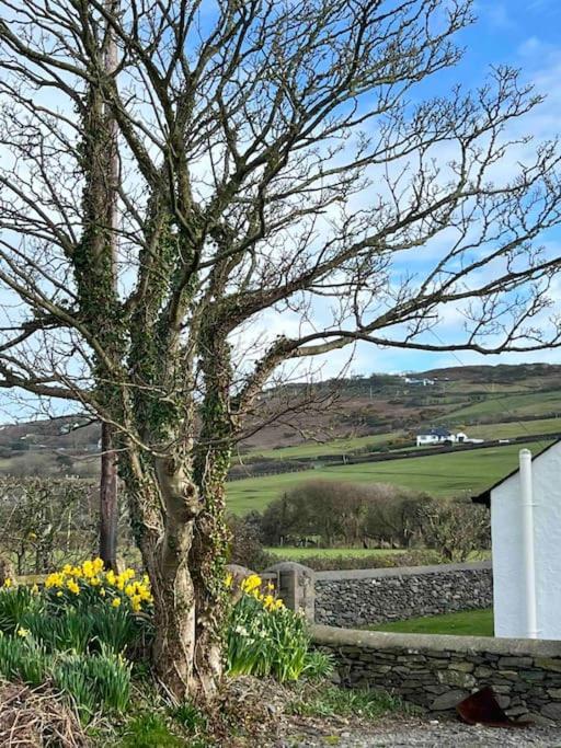 Gors Eilian Villa Amlwch Eksteriør bilde